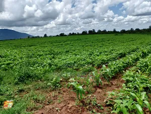 Olkalou Kaimbaga Prime 10 and 14 Acres Ideal for Wheat Farming