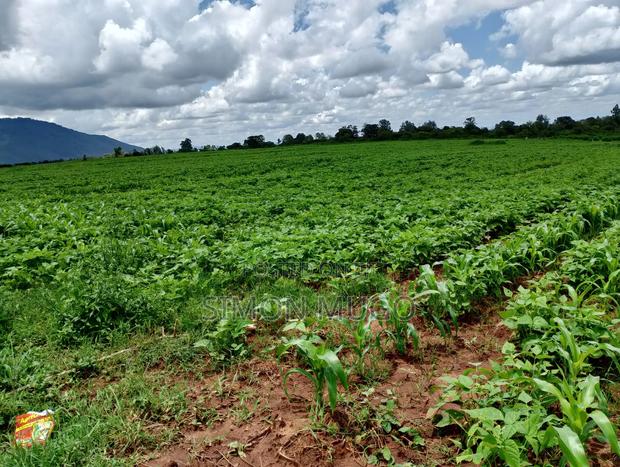 Olkalou Kaimbaga Prime 10 and 14 Acres Ideal for Wheat Farming