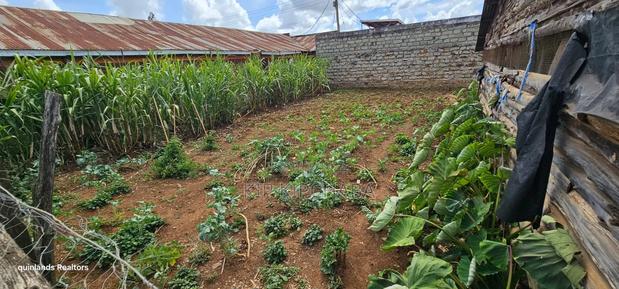 3bdrm Bungalow in Chepkoilel, Kimumu for sale - thumbnail 5