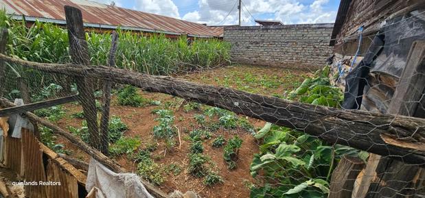 3bdrm Bungalow in Chepkoilel, Kimumu for sale - thumbnail 8