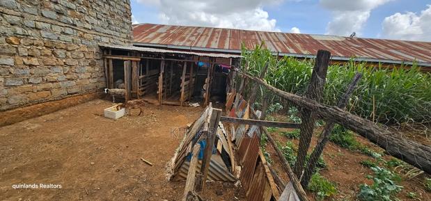 3bdrm Bungalow in Chepkoilel, Kimumu for sale - thumbnail 11