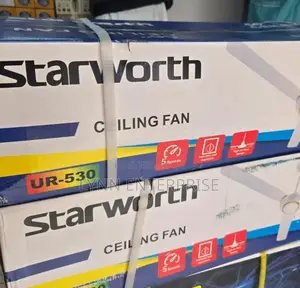 Starworth Ceiling Fan 24 Inches
