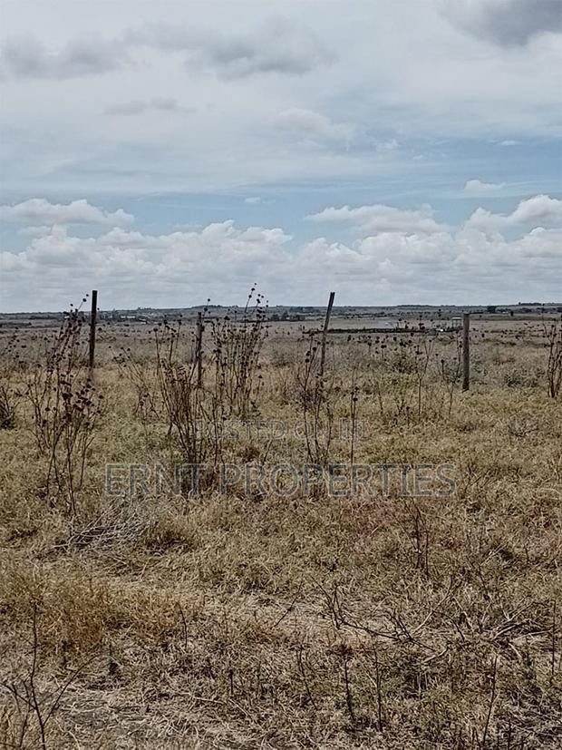 Prime Beachside Plots in Tulivu Gardens Kinondo – Perfect for Airbnb - thumbnail 2