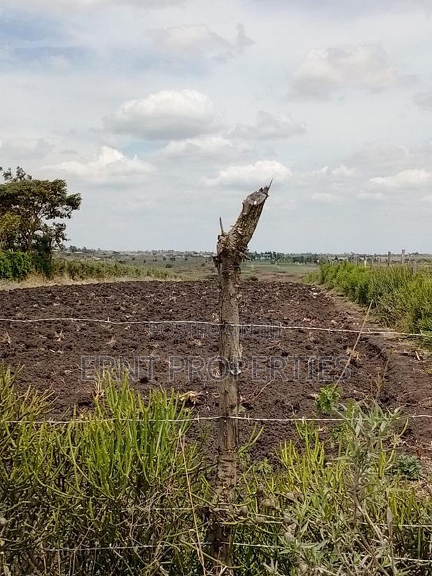 Prime Beachside Plots in Tulivu Gardens Kinondo – Perfect for Airbnb - thumbnail 3