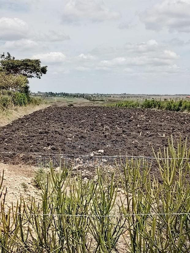 Prime Beachside Plots in Tulivu Gardens Kinondo – Perfect for Airbnb - thumbnail 4