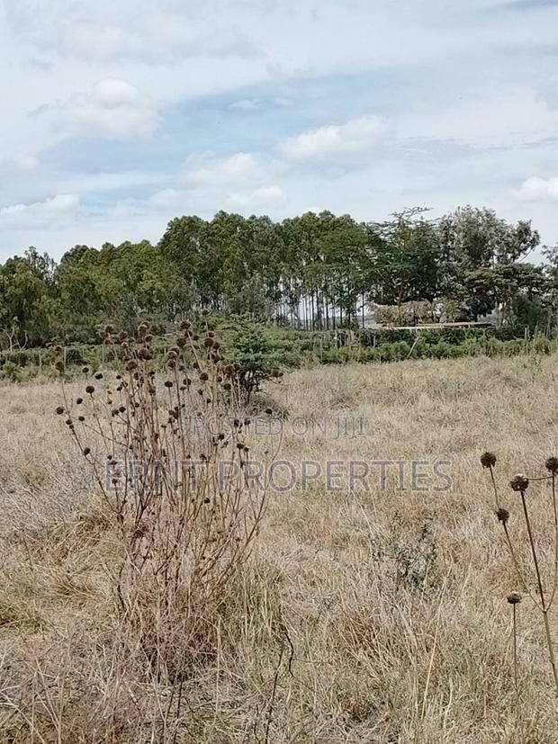 Prime Beachside Plots in Tulivu Gardens Kinondo – Perfect for Airbnb - thumbnail 5