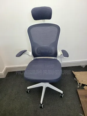 Adjustable Arm Chair