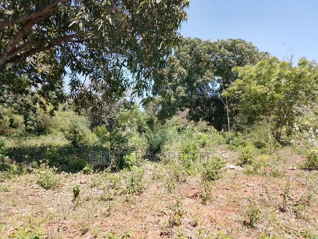 Prime Beachside Plots in Tulivu Gardens Kinondo – Perfect for Airbnb - thumbnail 6