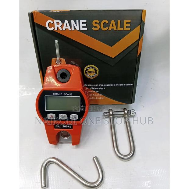 300kg Crane Hanging Scale Weighing Scale - main view
