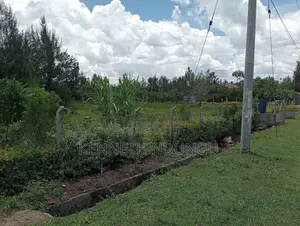 2 (100*100 ) Plots for Sale Ruai