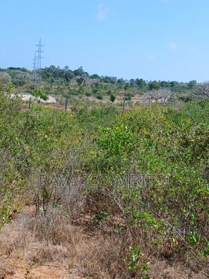 5 Acres Forsale in Kilifi Near Mnarani Secondary School. - thumbnail 2