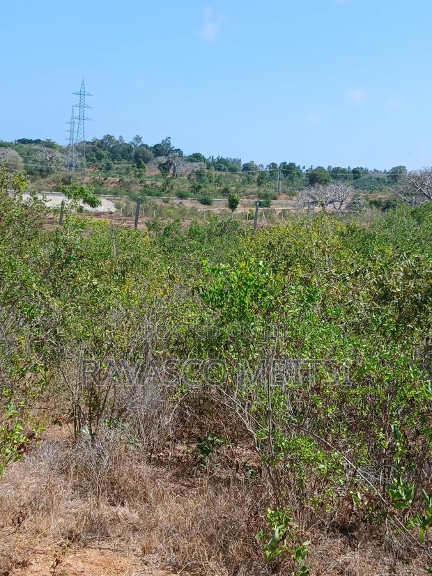 5 Acres Forsale in Kilifi Near Mnarani Secondary School. - main view