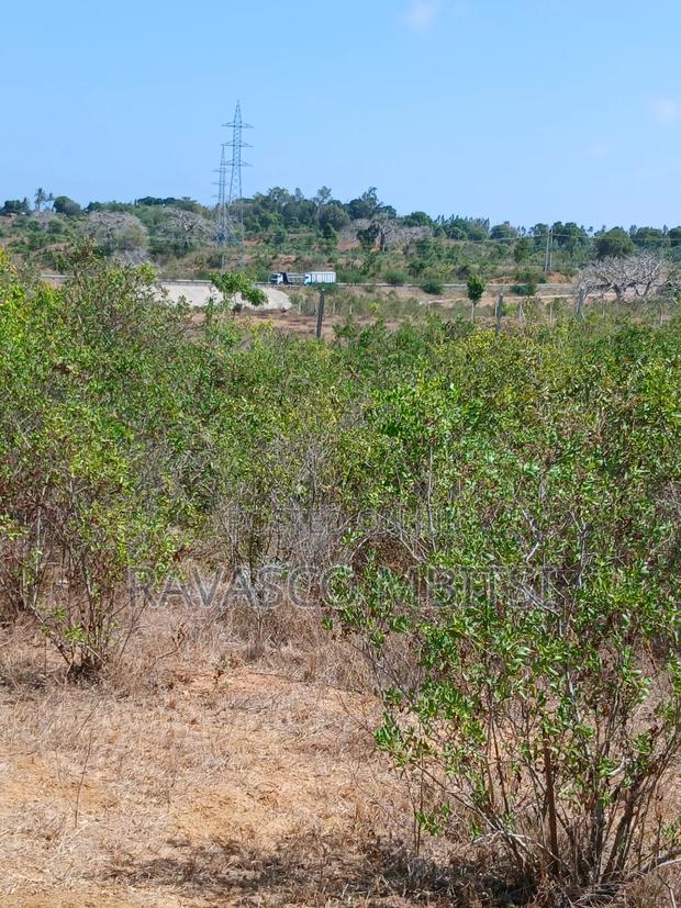 5 Acres Forsale in Kilifi Near Mnarani Secondary School. - thumbnail 4