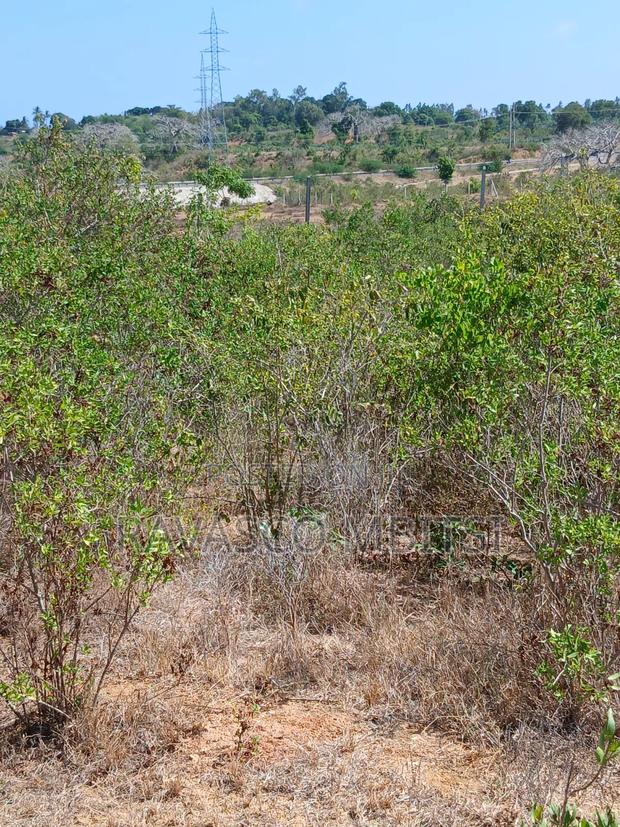 5 Acres Forsale in Kilifi Near Mnarani Secondary School. - thumbnail 5