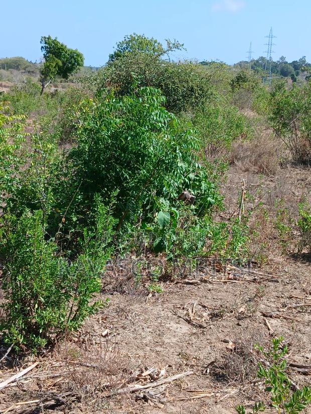 5 Acres Forsale in Kilifi Near Mnarani Secondary School. - thumbnail 7