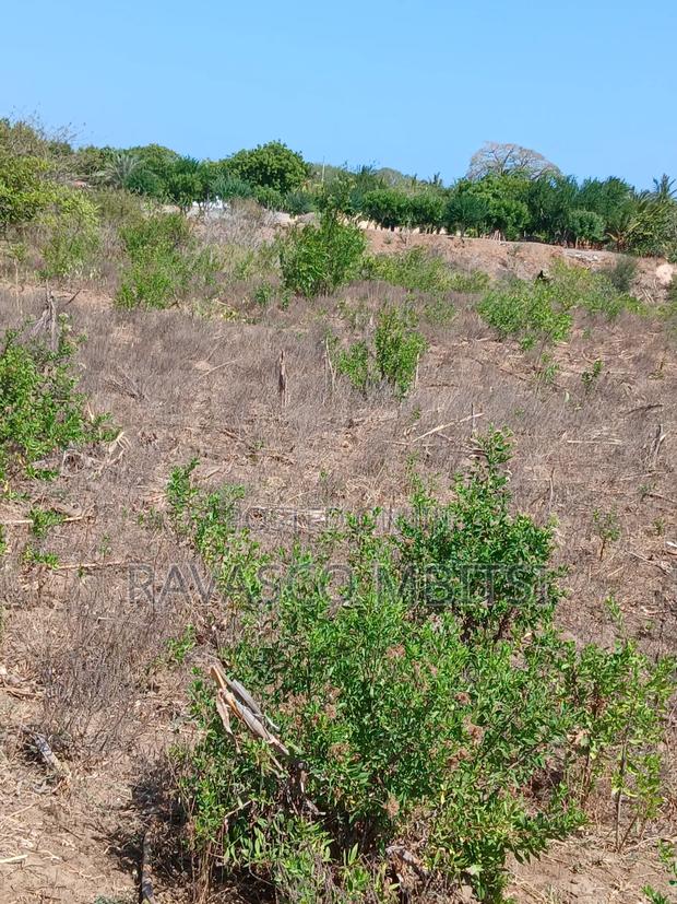 5 Acres Forsale in Kilifi Near Mnarani Secondary School. - thumbnail 8
