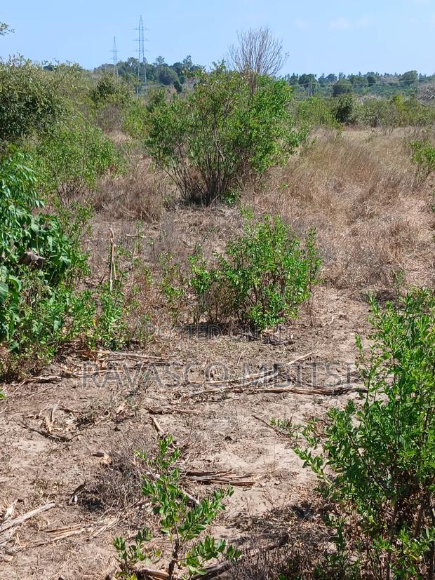 5 Acres Forsale in Kilifi Near Mnarani Secondary School. - thumbnail 9