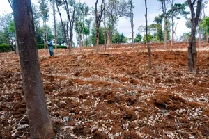 Ntrukuma 3 Acres for Sale [ Nanyuki ]