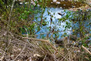 Ntrukuma 3 Acres for Sale [ Nanyuki ]