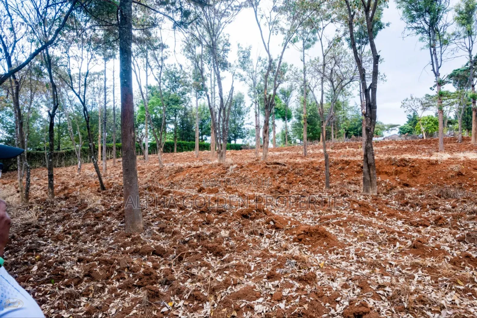 Ntrukuma 3 Acres for Sale [ Nanyuki ]