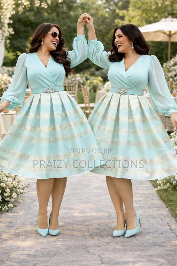 Elegant Skater Dress - thumbnail 5