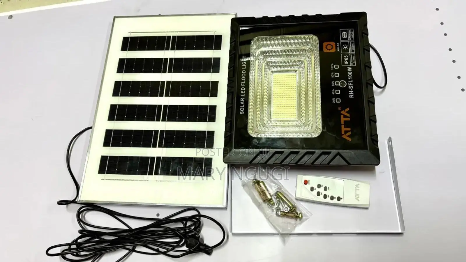 100w Solar Floodlight