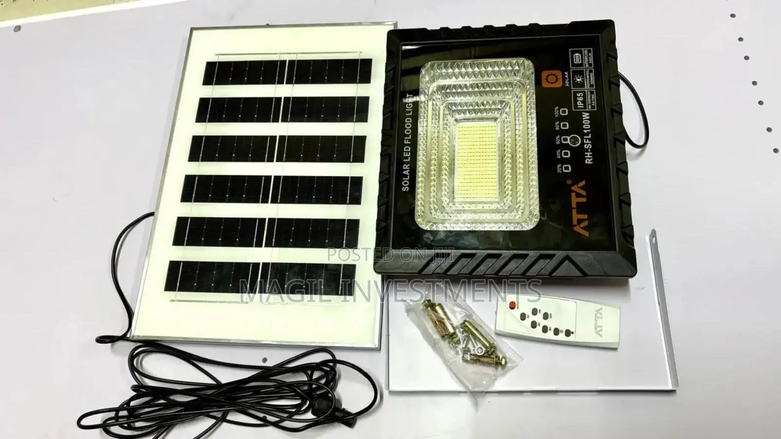 100w Solar Floodlight