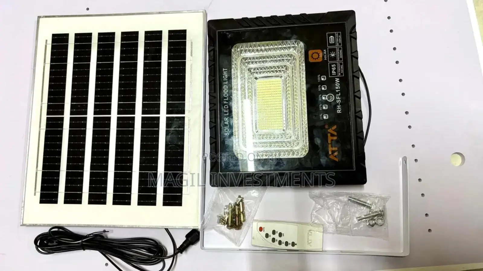100w Solar Floodlight
