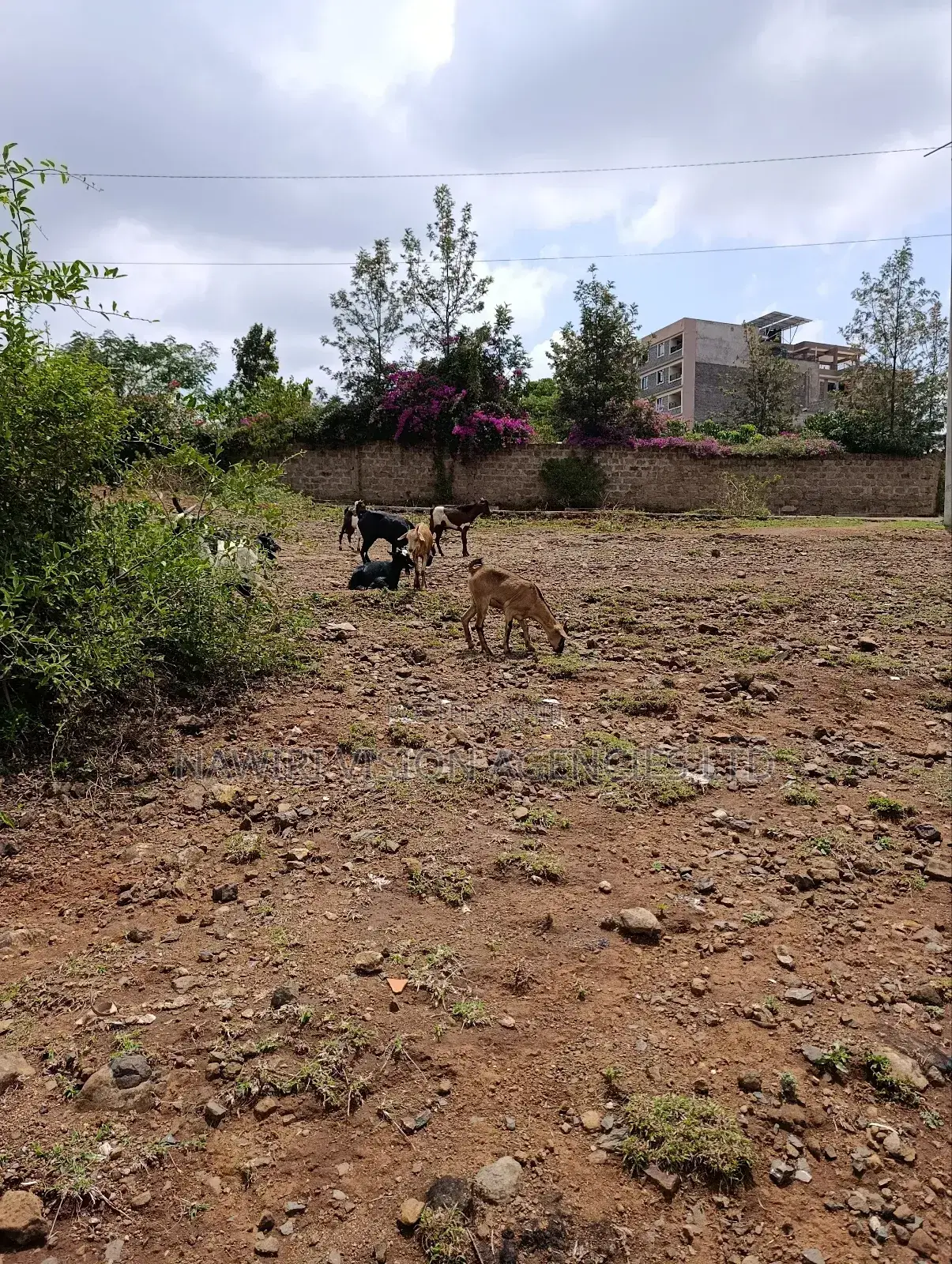 3 Acres Plot for Sale in Chokaa, Hurlingham