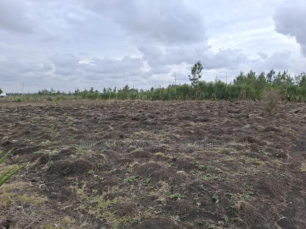 Kamulu Plots - thumbnail 4