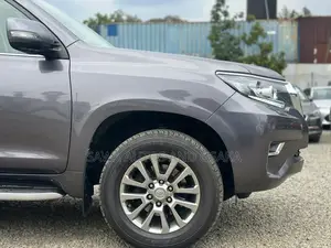 Toyota Land Cruiser Prado 2020 Gray