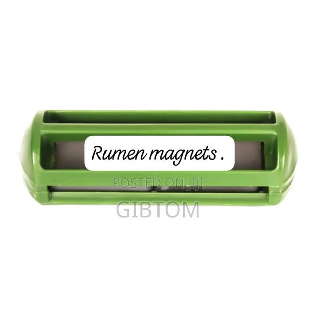 Rumen Magnet Plastic Cages Magnet - thumbnail 4