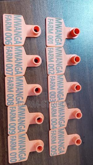 Customized Broad Tags - main view