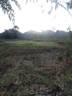 Quarter Acre Murera 