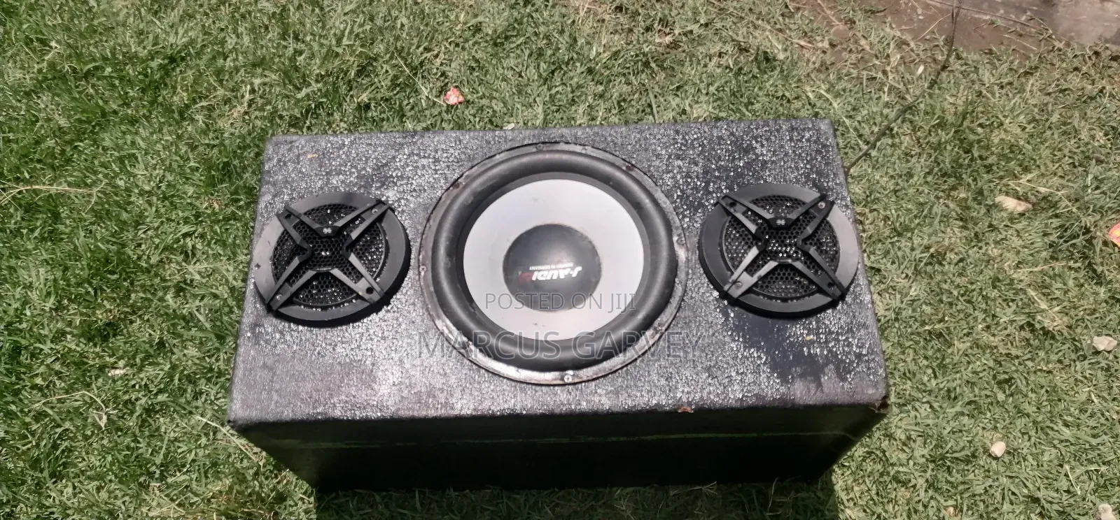 Bass Speaker