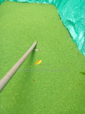 Azolla Pinnata Seedlings