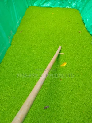 Azolla Pinnata Seedlings
