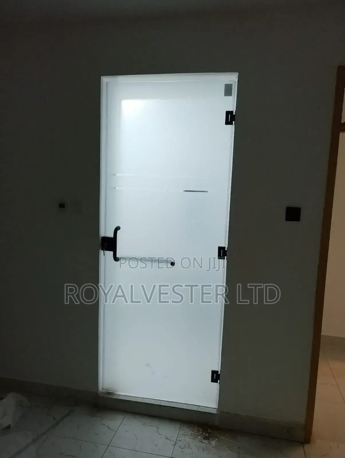 Frameless Shower Door