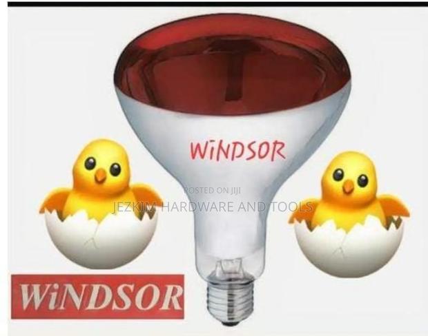 Infrared Bulb , Chicken Bulb - thumbnail 2