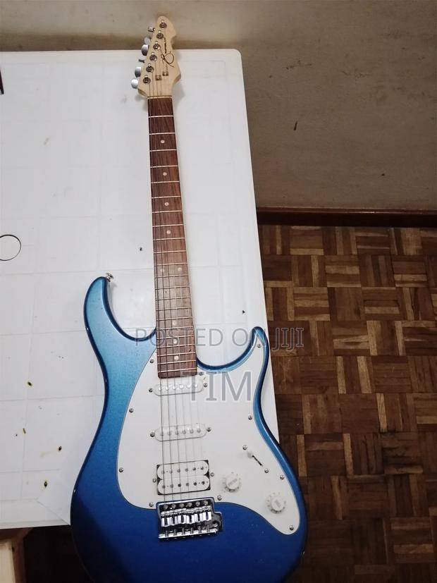 Peavy Raptor Electric Guitar - Excellent Condition ( Never Used)
