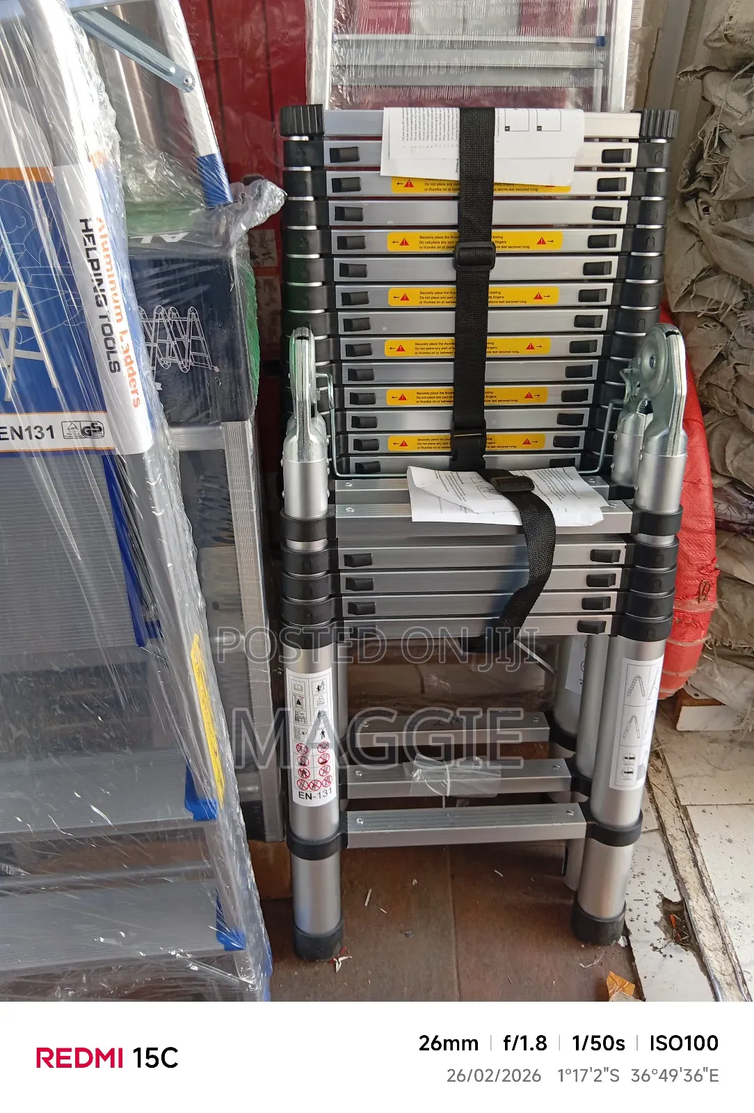 Telescopic Ladder