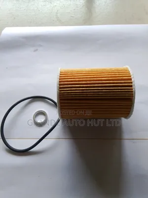 Oil Filter for Hyundai Santa Fe/Palisade 2020 (Genuine)