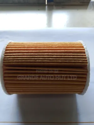 Oil Filter for Hyundai Santa Fe/Palisade 2020 (Genuine)