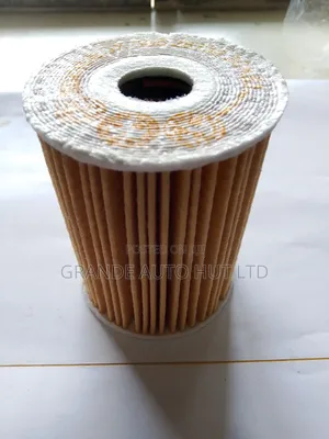 Oil Filter for Hyundai Santa Fe/Palisade 2020 (Genuine)