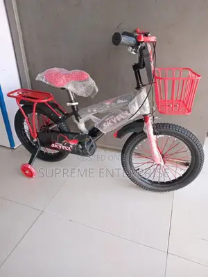 Kids Bike Size 10