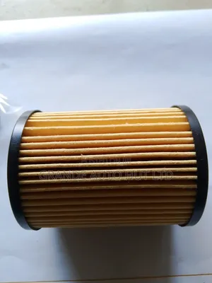 Oil Filter for Hyundai Santa Fe 2021 (Genuine)