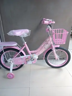 Pink Baby Double Wheel Bicycle
