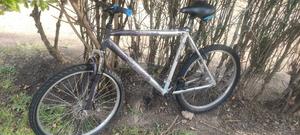 Bicycle for Sale - thumbnail 2