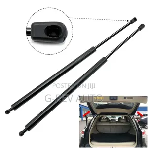 Lexus Rx450  Rx 350 Boot  Shocks Struts
