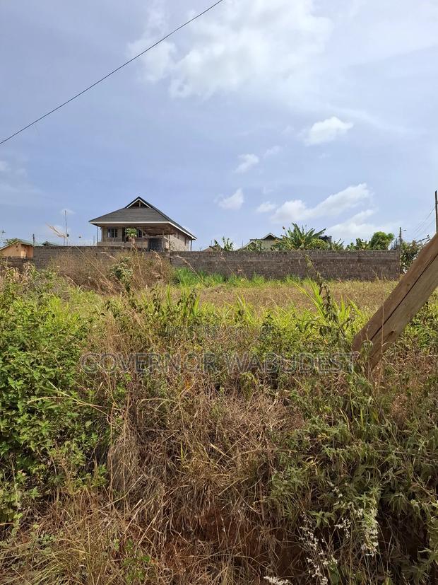 Thika Ngoingwa Prime Corner Plot on Sale 50x100 - thumbnail 3